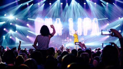 Belgische artiest treedt op voor een groot publiek op een podium
