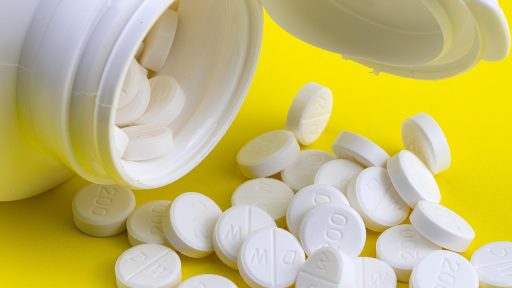 Baasje geeft haar hond een supplement in de vorm van een capsule